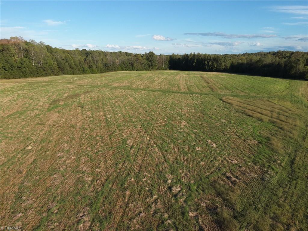 0 Stewart Road Ruffin, NC 27326 - Photo 7 of 50