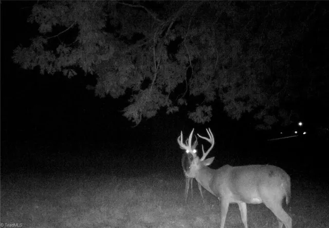 $721,354 | 0 Stewart Road, Ruffin, NC 27326