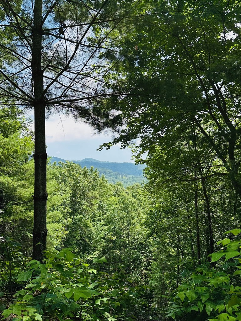 Lot 15 View Ridge Trail Murphy, NC 28906 - Photo 4 of 11