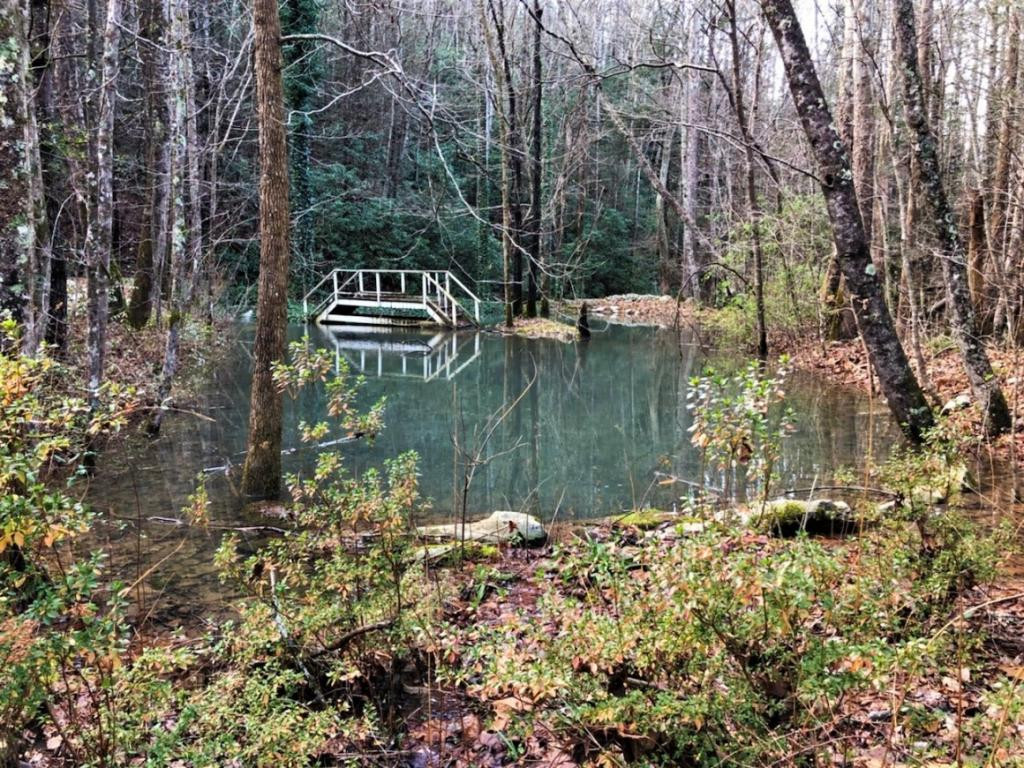 1775 Norwood Town Road Del Rio, TN 37727 - Photo 23 of 24 Photo 23
