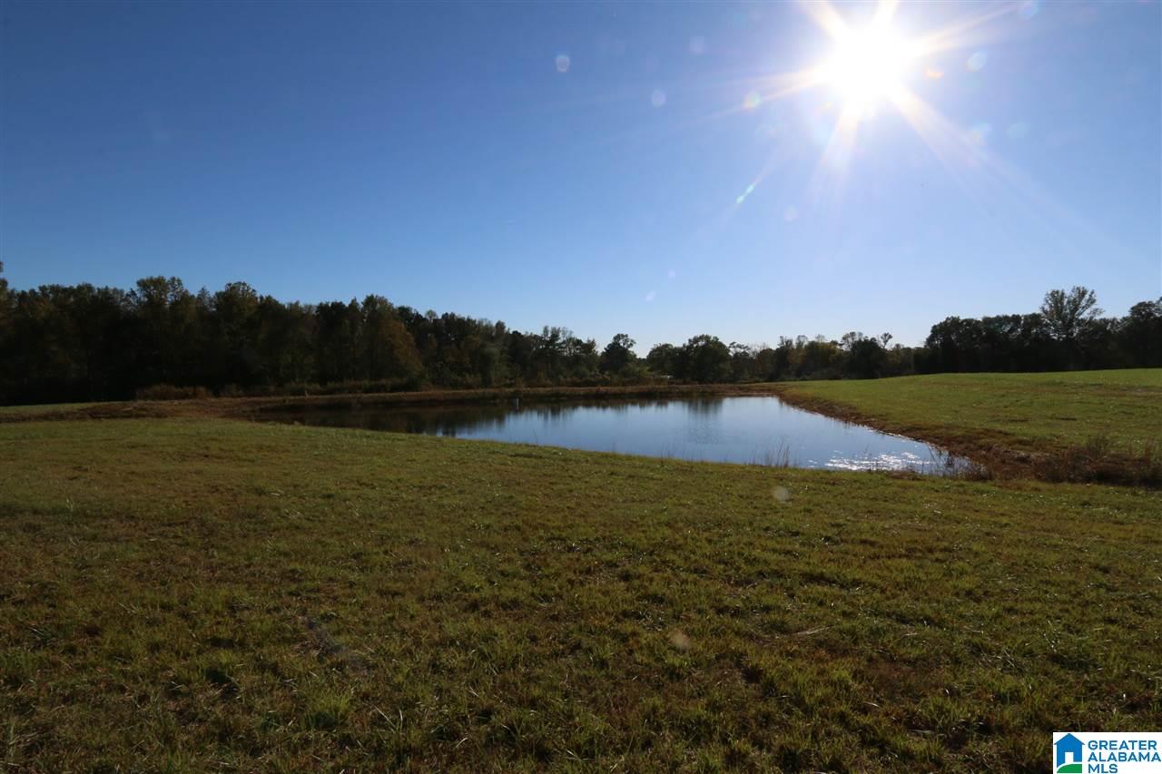 567 Dial Road Blountsville, AL 35031 - Photo 40 of 46