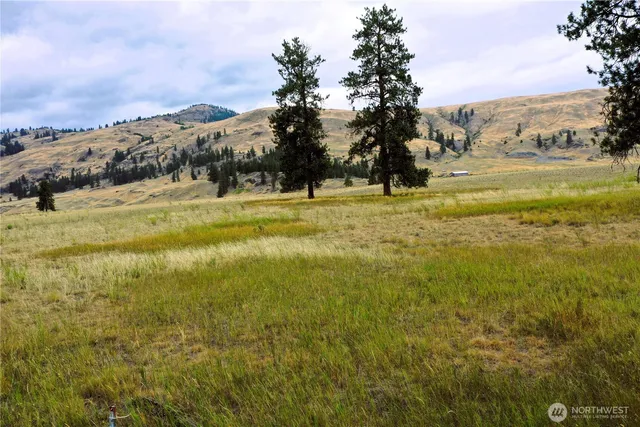 a view of yard and mountain view