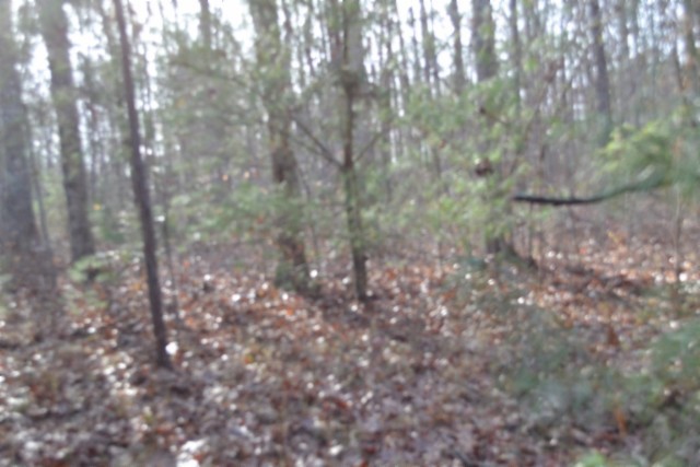 0 Shotgun Annie Road Jamestown, TN 38556 - Photo 12 of 59