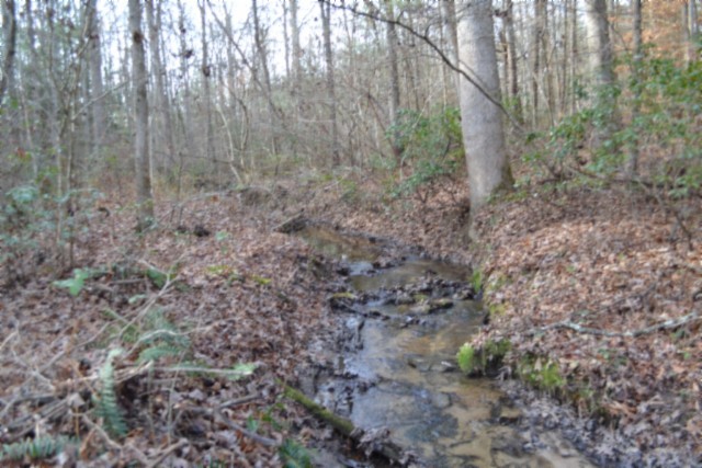 0 Shotgun Annie Road Jamestown, TN 38556 - Photo 2 of 59 a view of a yard with large trees