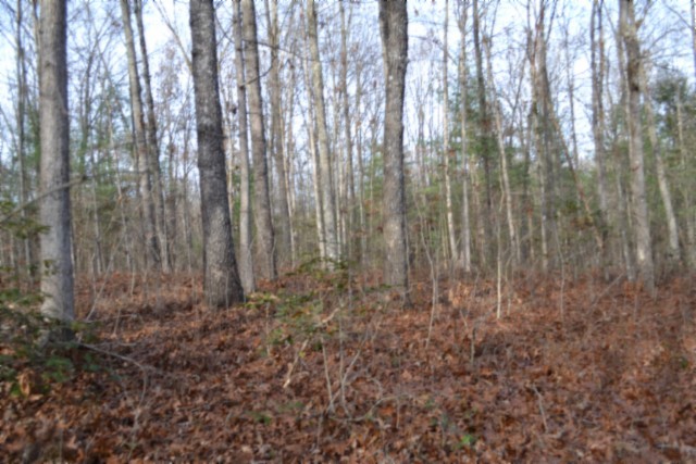 0 Shotgun Annie Road Jamestown, TN 38556 - Photo 24 of 59