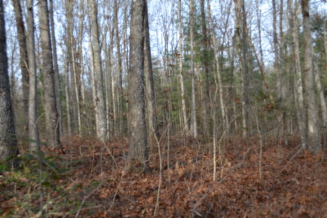 0 Shotgun Annie Road Jamestown, TN 38556 - Photo 27 of 59