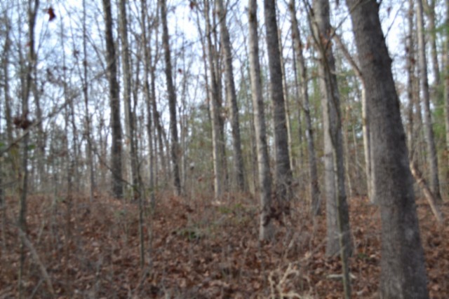 0 Shotgun Annie Road Jamestown, TN 38556 - Photo 29 of 59