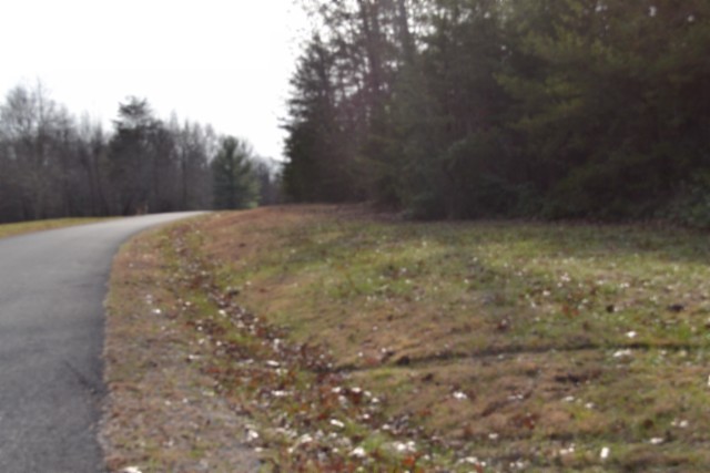 0 Shotgun Annie Road Jamestown, TN 38556 - Photo 3 of 59 a view of empty room