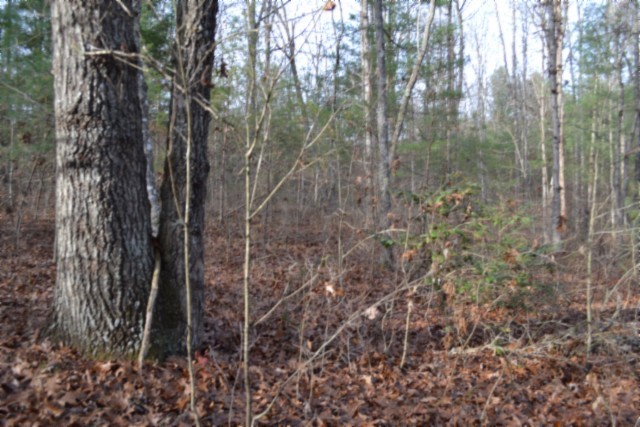 0 Shotgun Annie Road Jamestown, TN 38556 - Photo 34 of 59