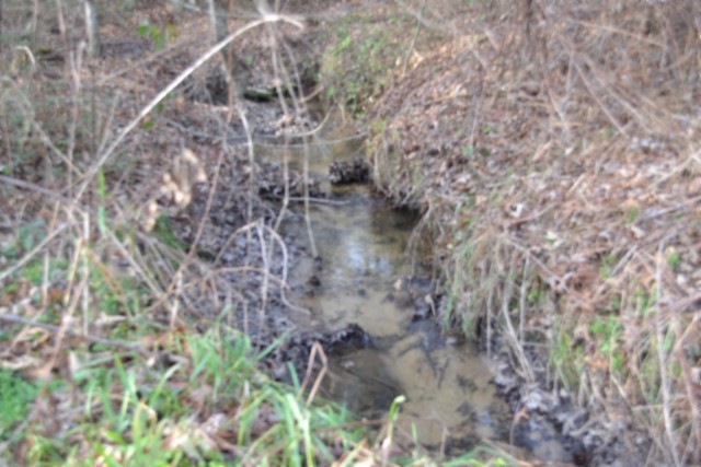 0 Shotgun Annie Road Jamestown, TN 38556 - Photo 40 of 59 a view of a forest with a tree