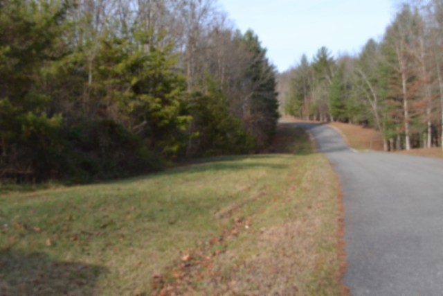 0 Shotgun Annie Road Jamestown, TN 38556 - Photo 4 of 59 a view of a yard with trees