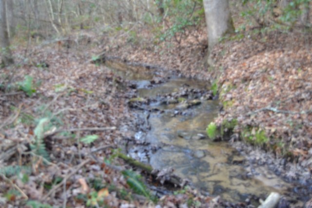 0 Shotgun Annie Road Jamestown, TN 38556 - Photo 44 of 59