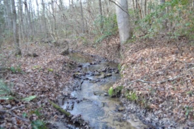 0 Shotgun Annie Road Jamestown, TN 38556 - Photo 45 of 59 a view of a yard with large trees