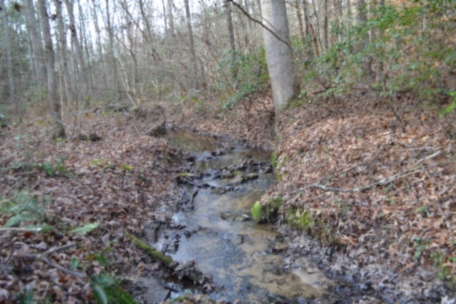 0 Shotgun Annie Road Jamestown, TN 38556 - Photo 46 of 59 a view of a yard with large trees