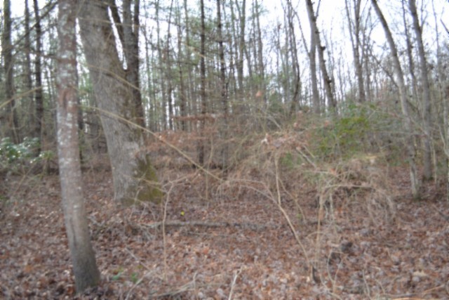 0 Shotgun Annie Road Jamestown, TN 38556 - Photo 48 of 59 a view of forest