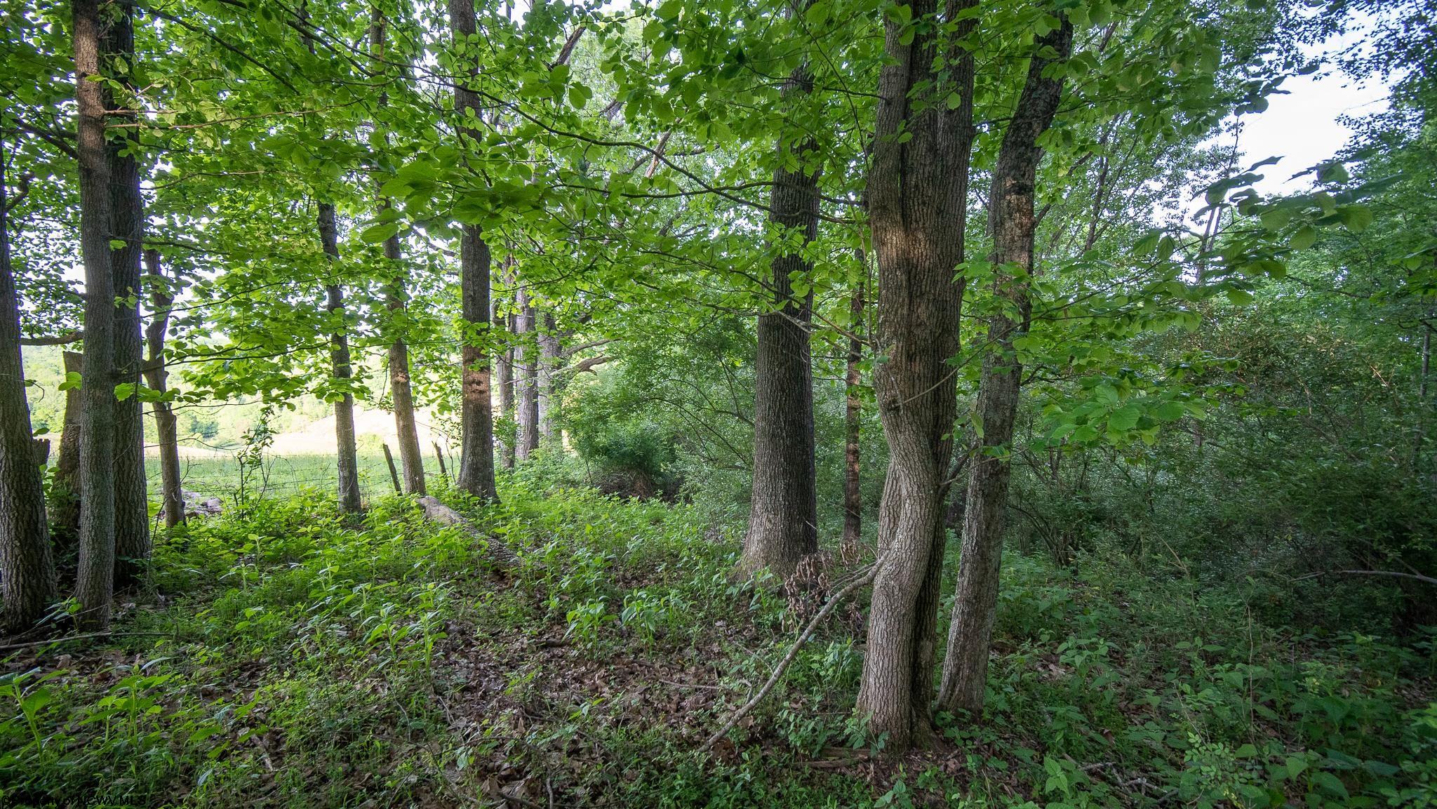 Lot 4 Rocco Run Walkersville, WV 26447 - Photo 19 of 27 Gallery Image 19