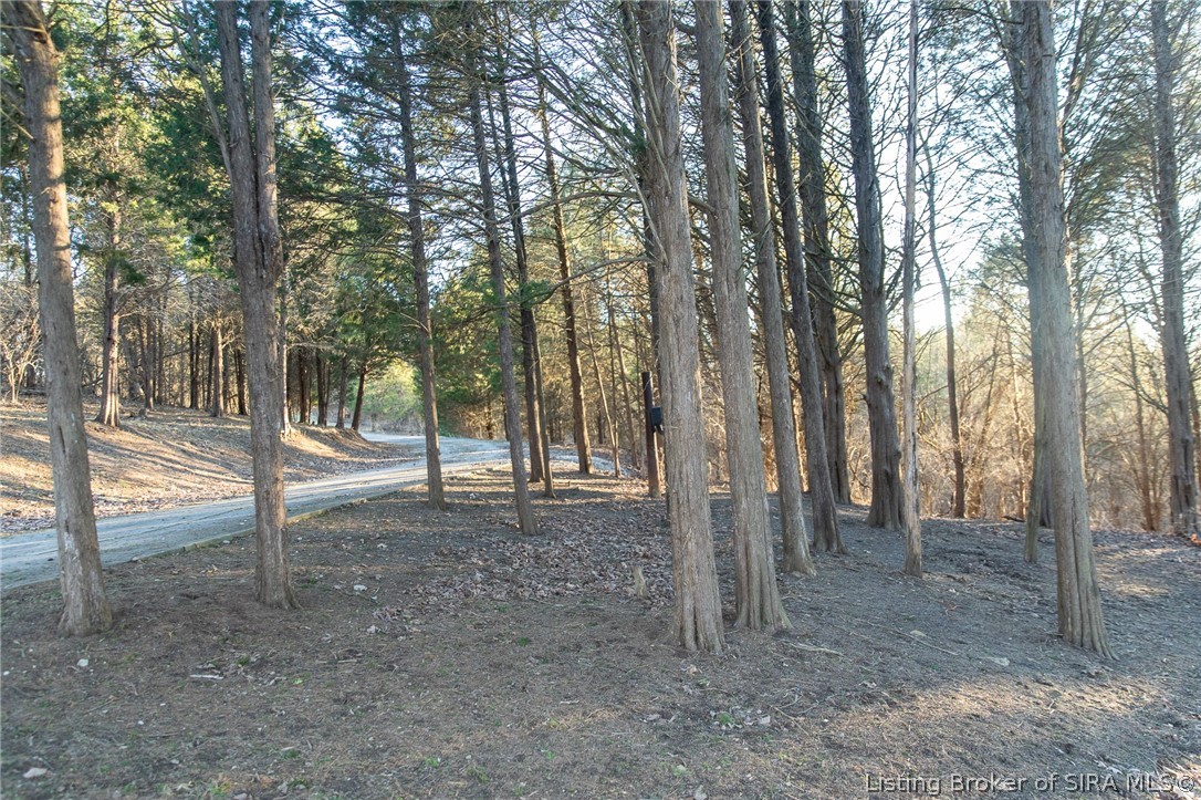 6113 Tapps Ridge Road Vevay, IN 47043 - Photo 41 of 61