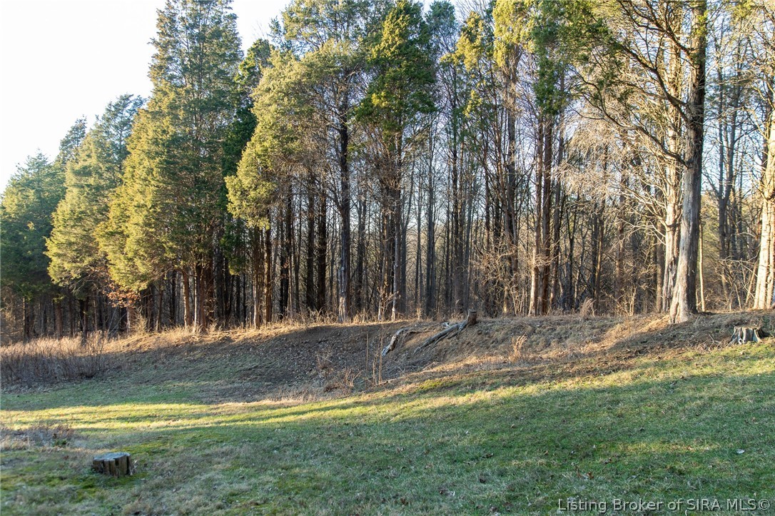 6113 Tapps Ridge Road Vevay, IN 47043 - Photo 54 of 61
