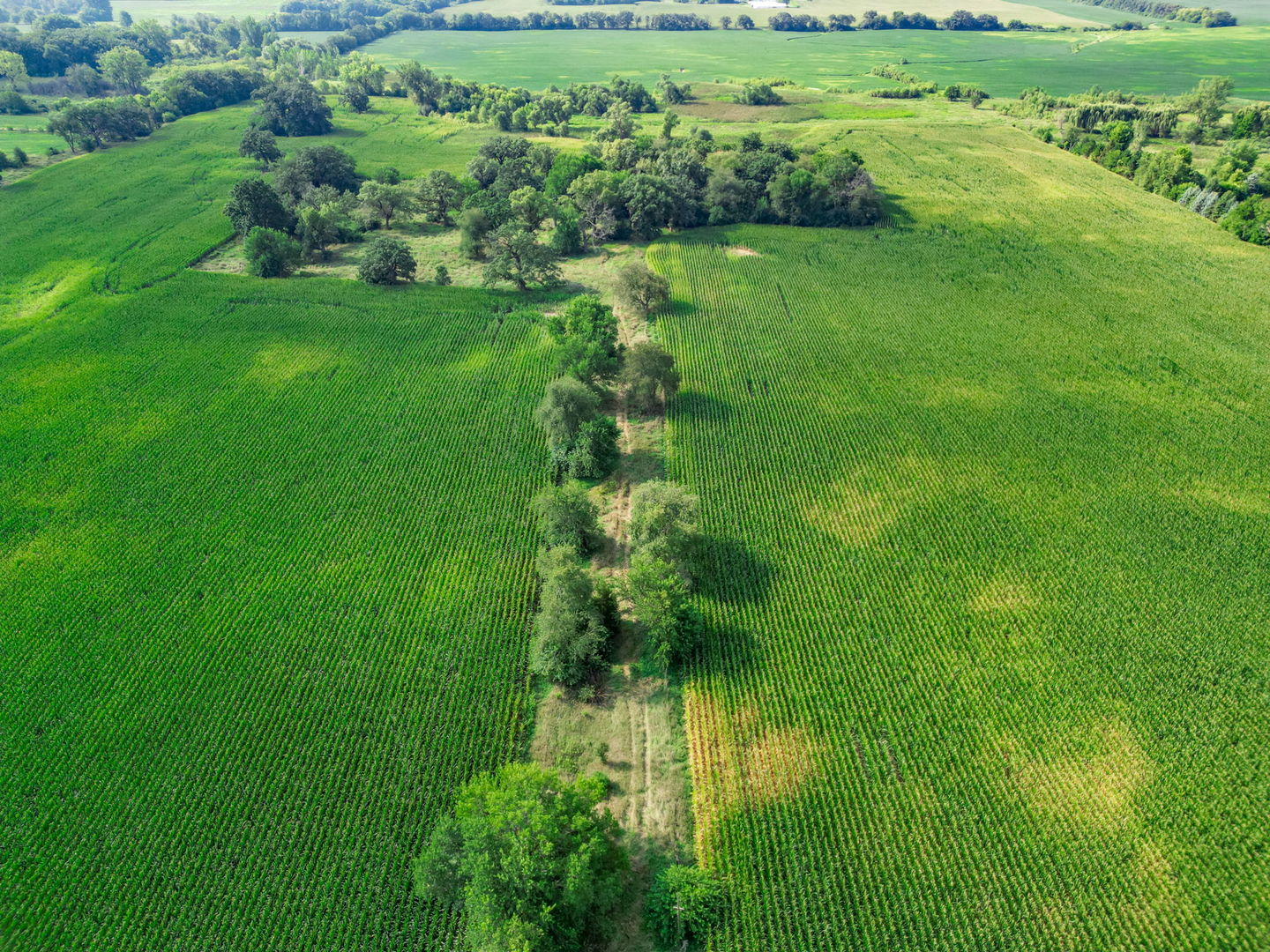 15218 Harmony Road Huntley, IL 60142 - Photo 11 of 13 a view of a lush green space