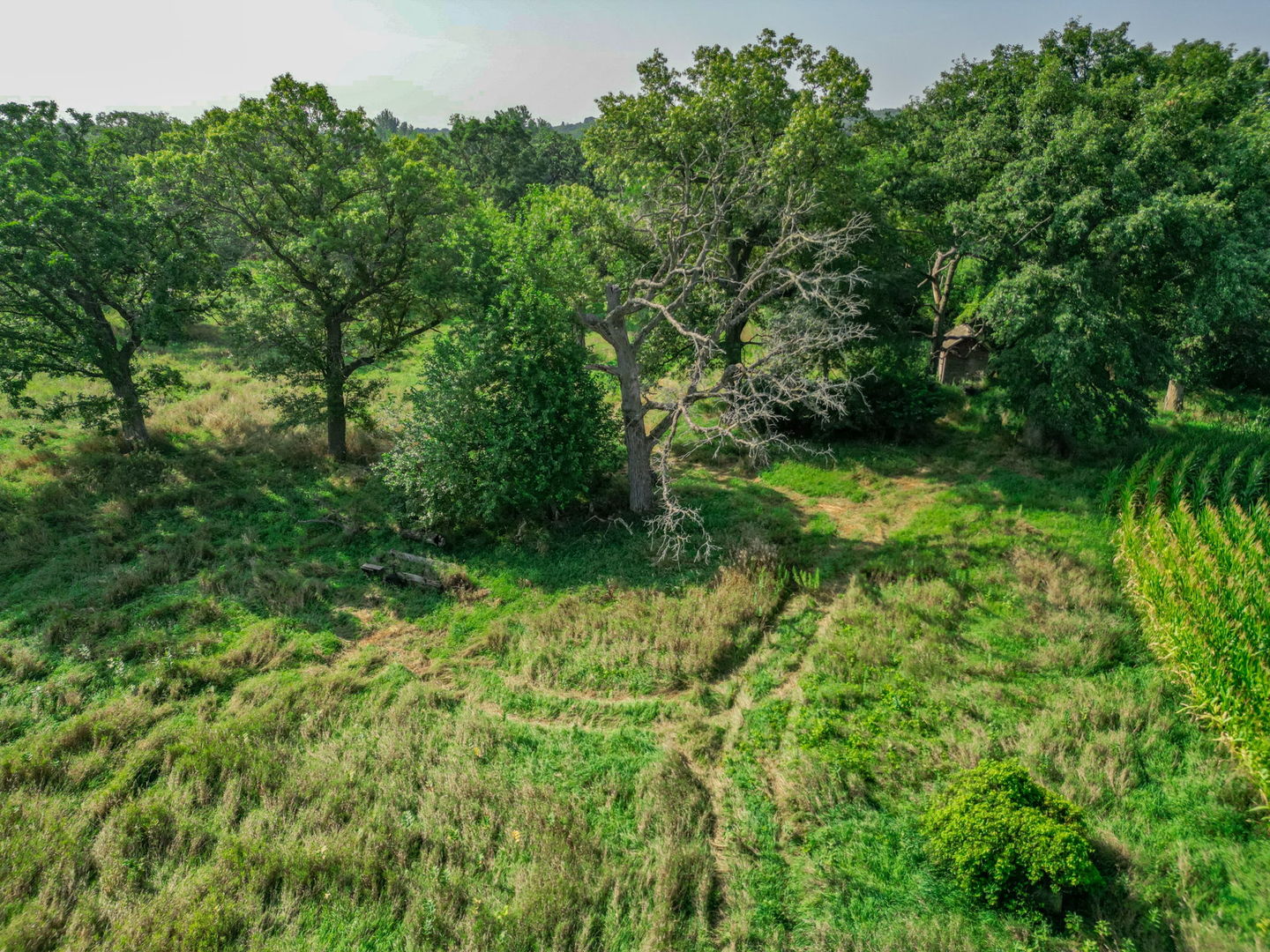 15218 Harmony Road Huntley, IL 60142 - Photo 9 of 13 a view of a lush green space