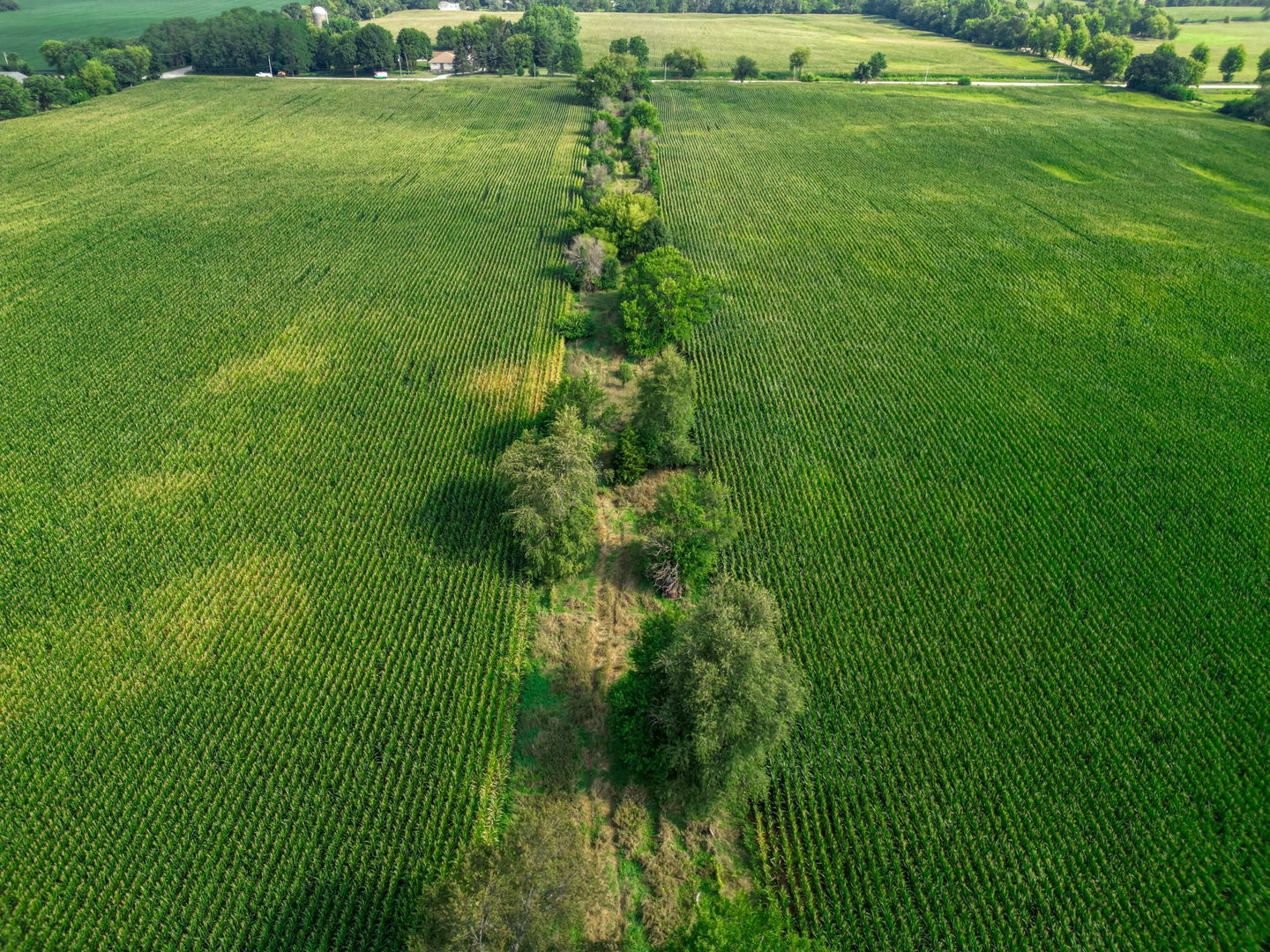 15218 Harmony Road Huntley, IL 60142 - Photo 10 of 13 a view of a lush green space