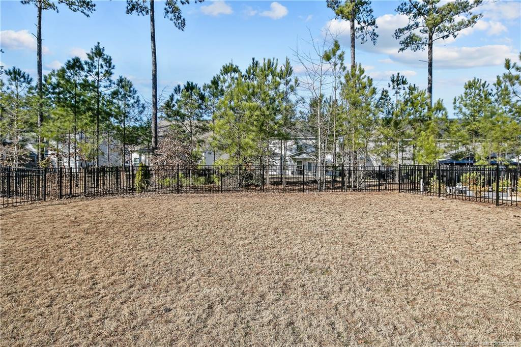 410 Timber Skip Drive Spring Lake, NC 28390 - Photo 32 of 41 Photo 32