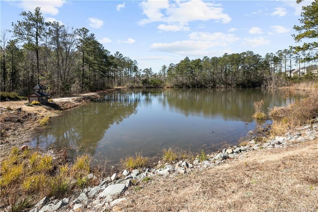 410 Timber Skip Drive Spring Lake, NC 28390 - Photo 41 of 41 Photo 41