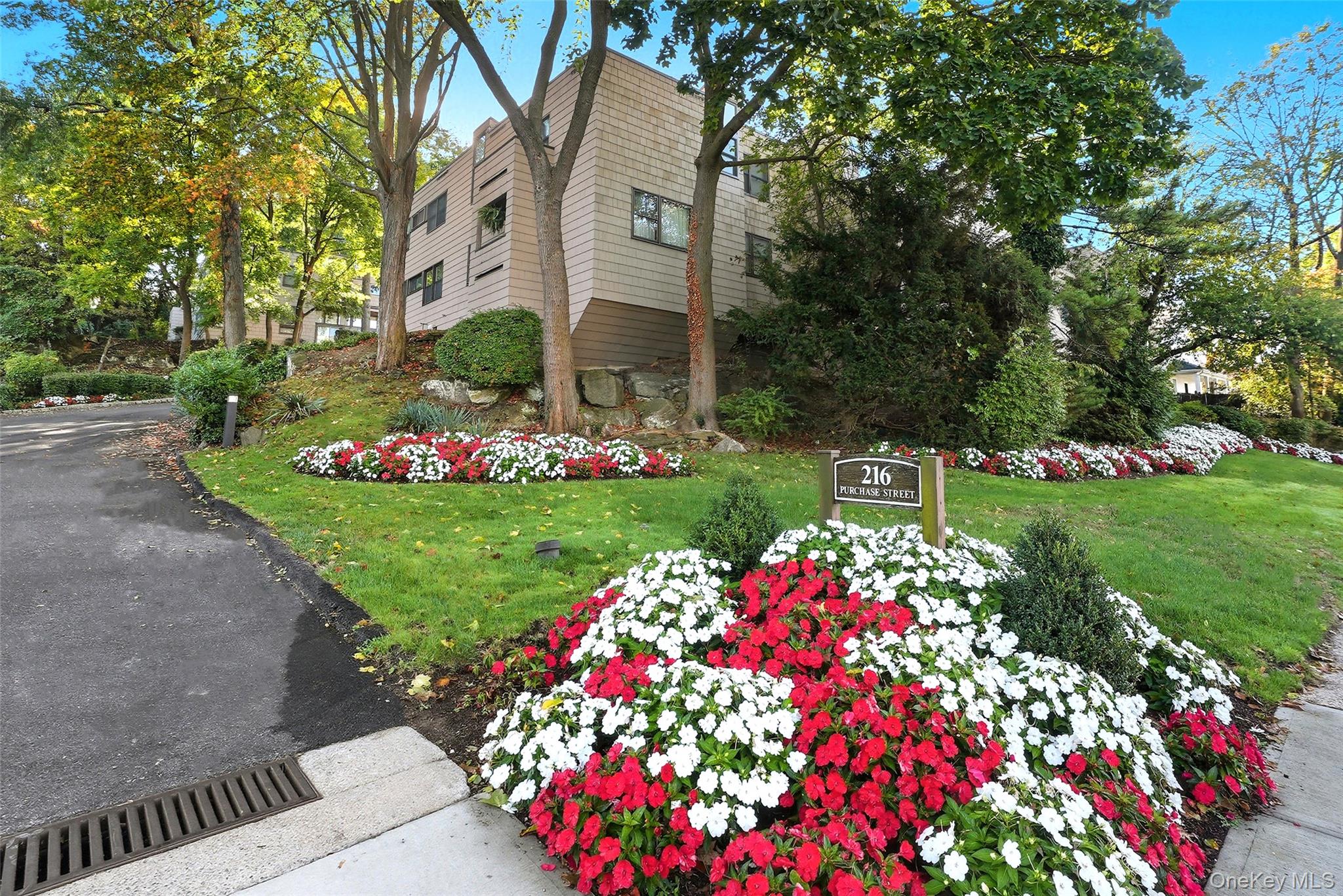 216 Purchase Street, Unit P Rye, NY 10580 - Photo 2 of 36 a front view of a house with a yard and fountain