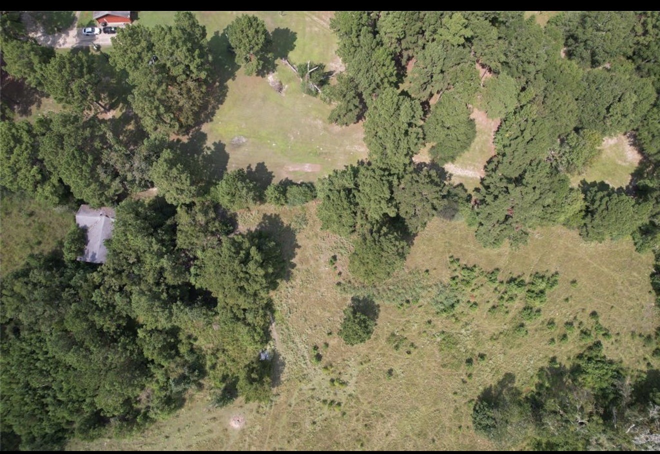 4.3 Lacy 3 Road Groveton, TX 75845 - Photo 4 of 14