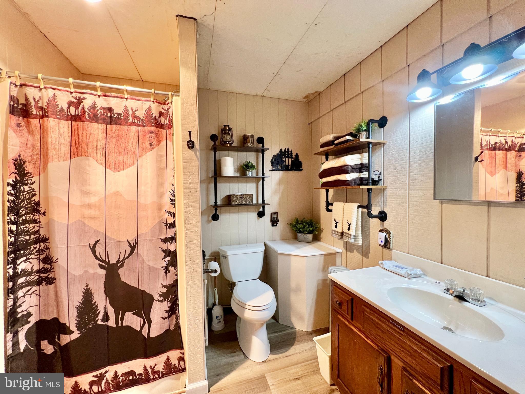 1858 Sandy Run Road Hopewell, PA 16650 - Photo 22 of 35 a bathroom with a sink toilet and shower
