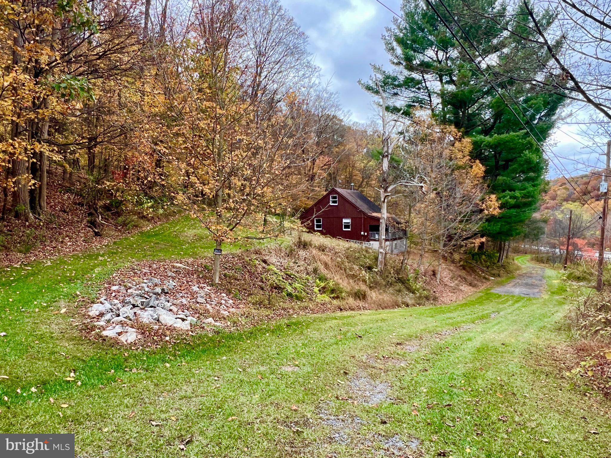 1858 Sandy Run Road Hopewell, PA 16650 - Photo 27 of 35 a view of a backyard with large trees