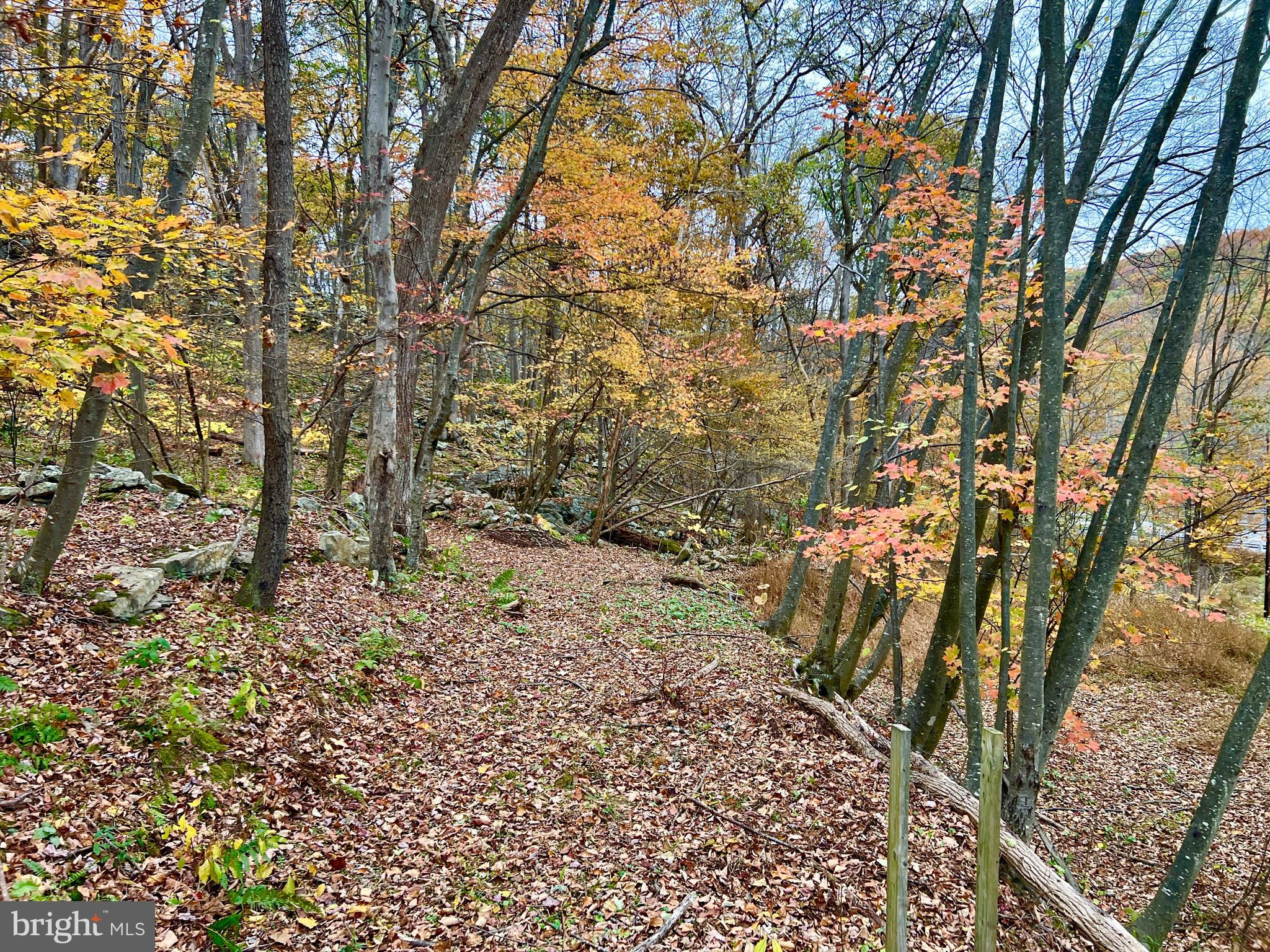 1858 Sandy Run Road Hopewell, PA 16650 - Photo 30 of 35 a view of a yard with large trees