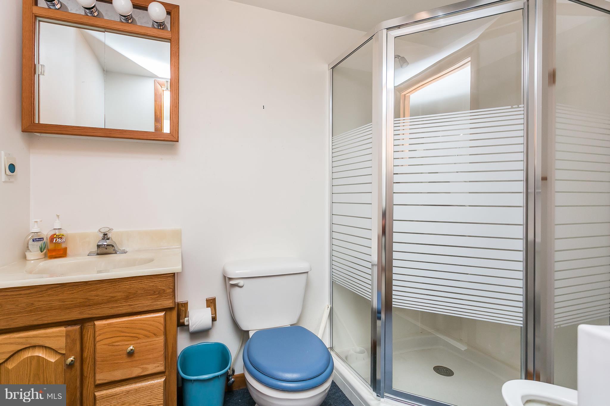 11913 Manor Road Glen Arm, MD 21057 - Photo 39 of 47 Lower Level Full Bath