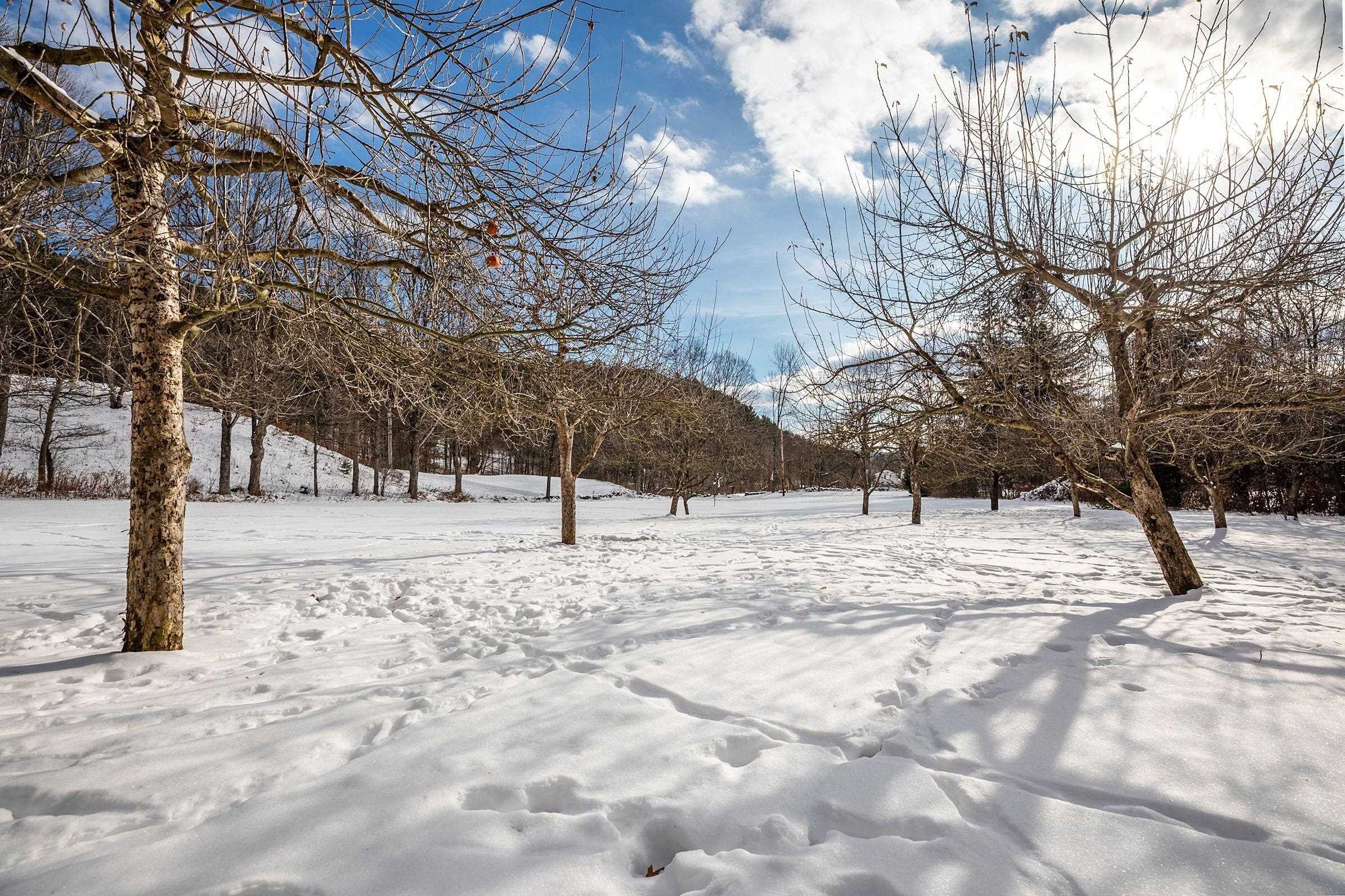 74 Barber Hill Road Pomfret, VT 05091 - Photo 41 of 55
