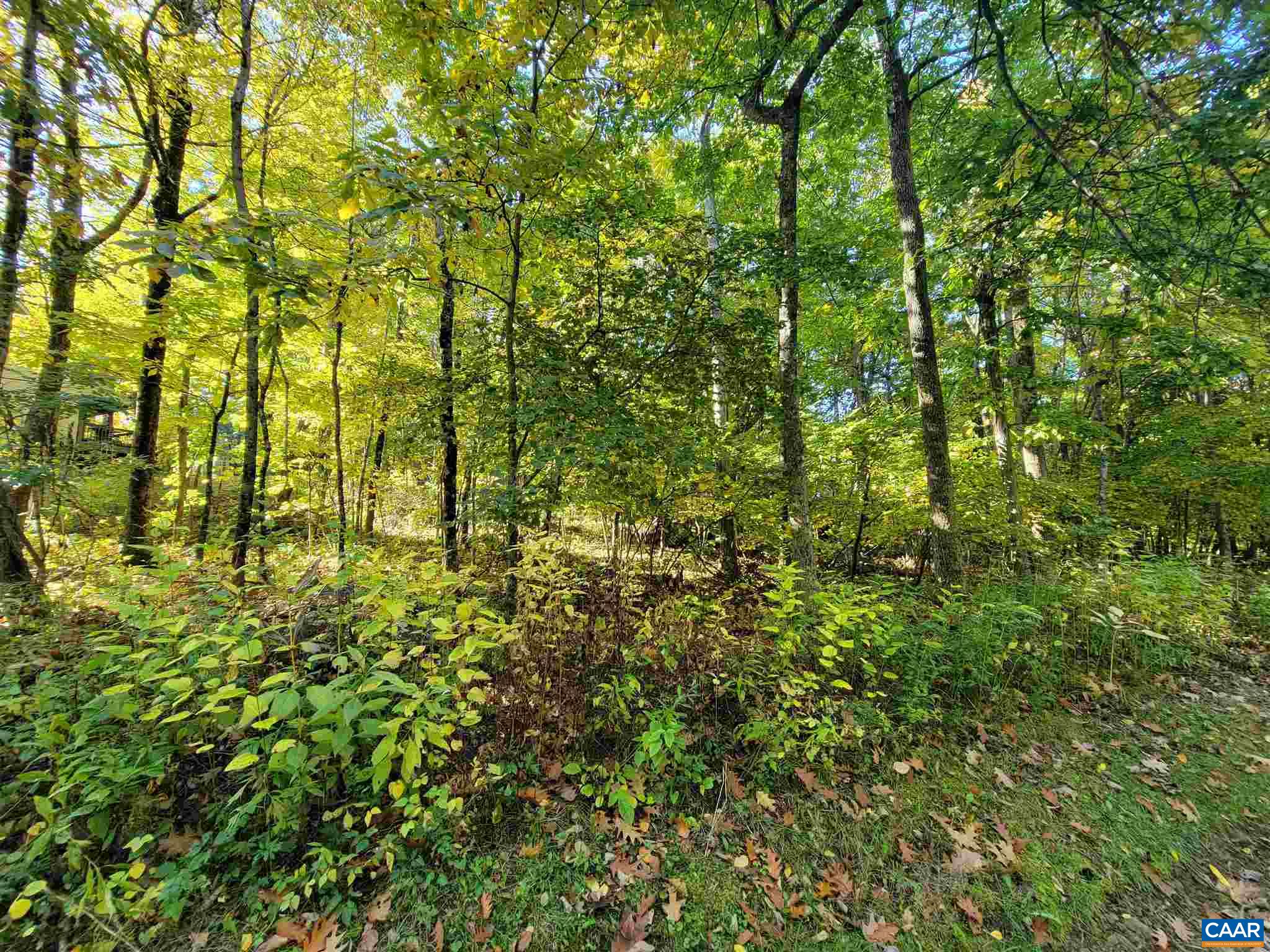 41 Hickory Spring Road Roseland, VA 22967 - Photo 7 of 7