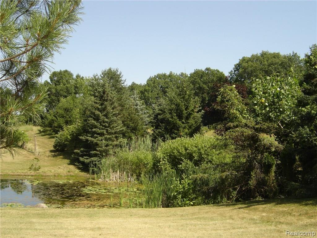 2829 Six Mile Road South Lyon, MI 48178 - Photo 14 of 46 Beautiful wooded areas