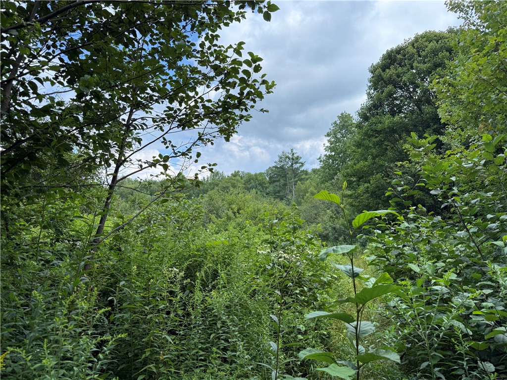 82 O Hara Road Redfield, NY 13437 - Photo 42 of 50 Gallery Image 42
