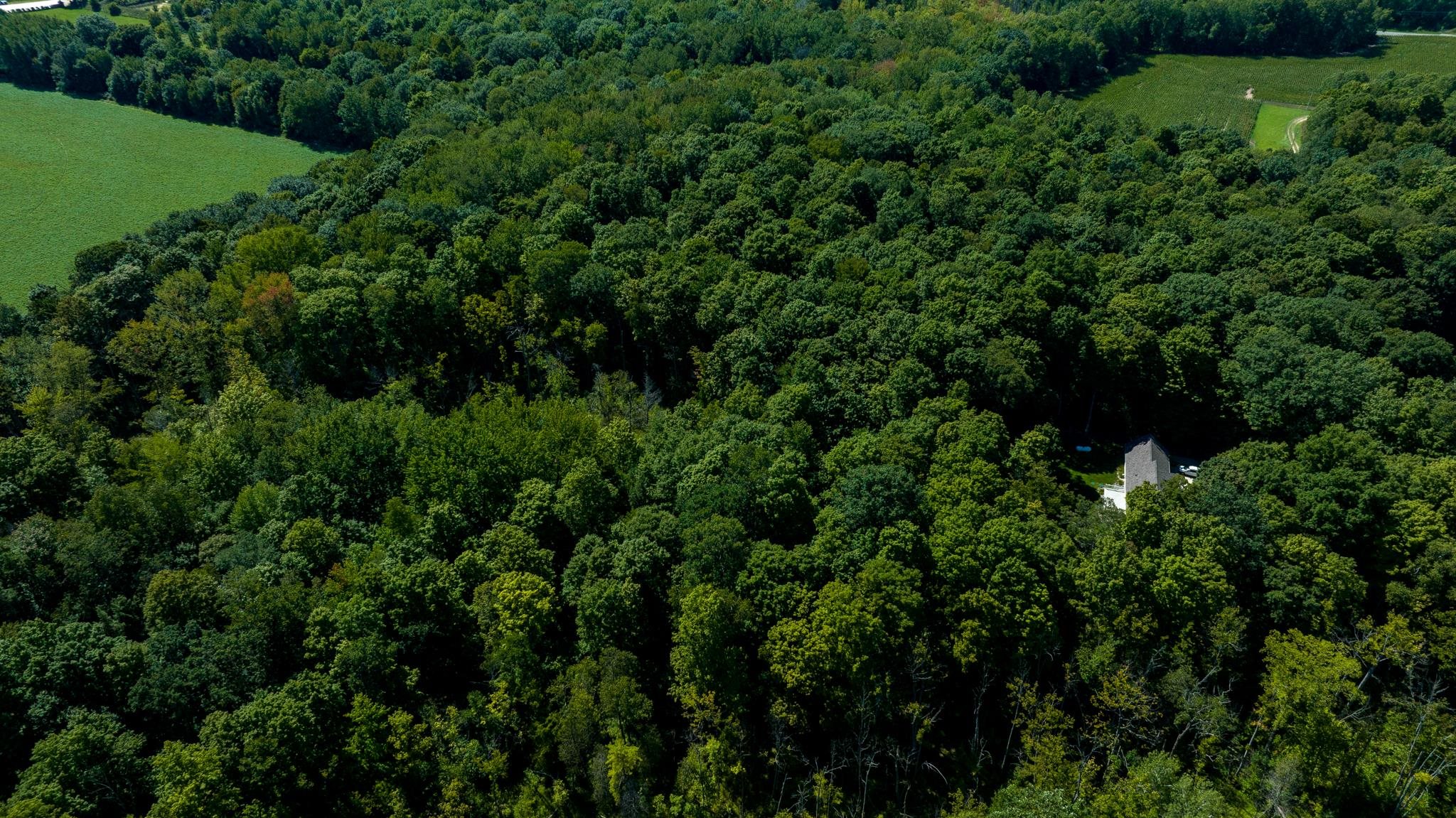 2665 West Wing Road Mount Pleasant, MI 48858 - Photo 16 of 37 Gallery Image 16