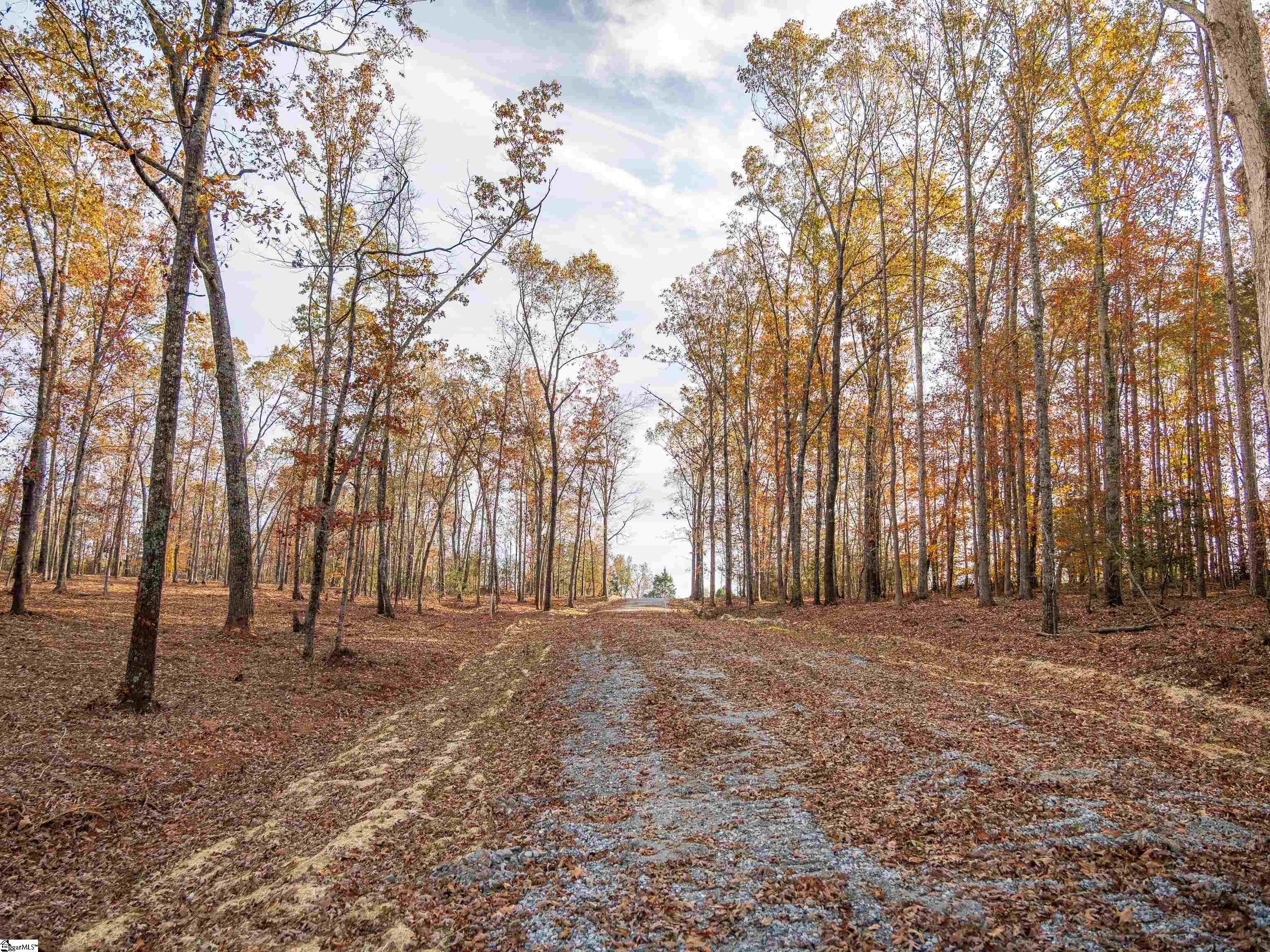 253 West Chapman Road, Unit LOT 8 Belton, SC 29627 - Photo 23 of 23