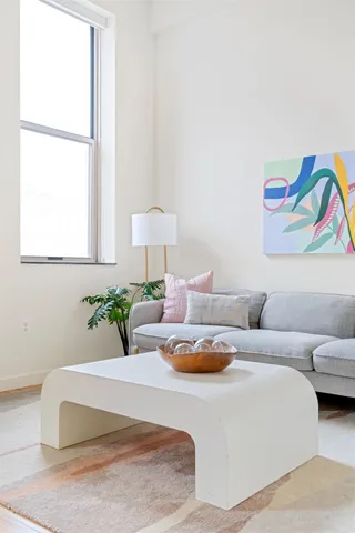 a living room with furniture and a potted plant
