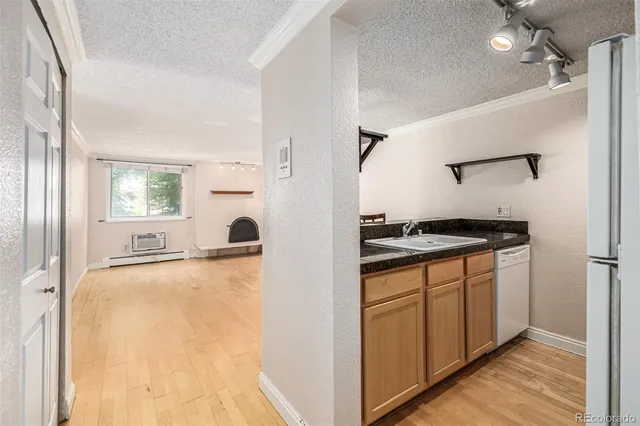 $1,500 | 1125 North Washington Street, Unit 207, Denver, CO 80203