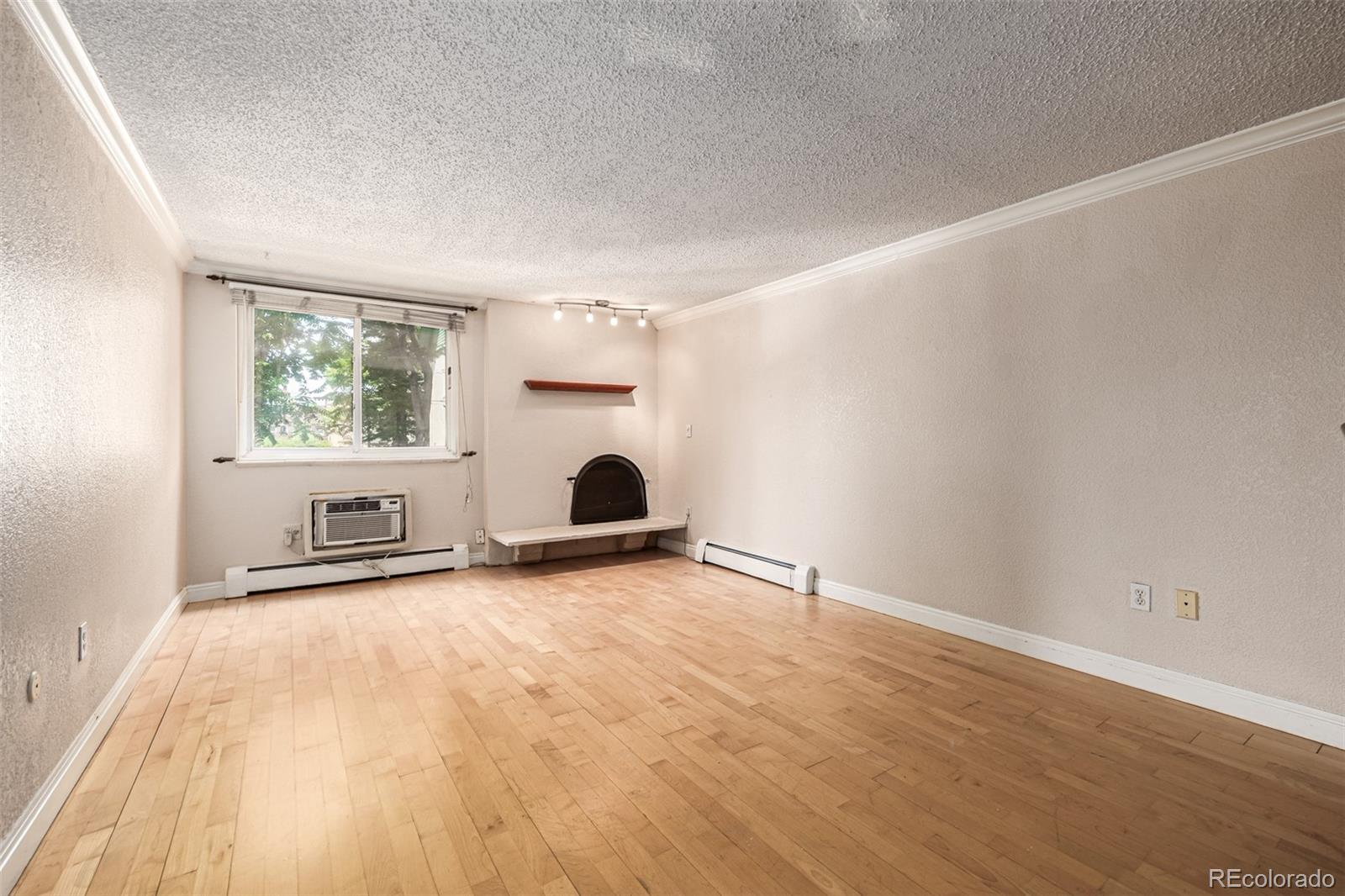1125 North Washington Street, Unit 207 Denver, CO 80203 - Photo 8 of 33 an empty room with windows and fireplace