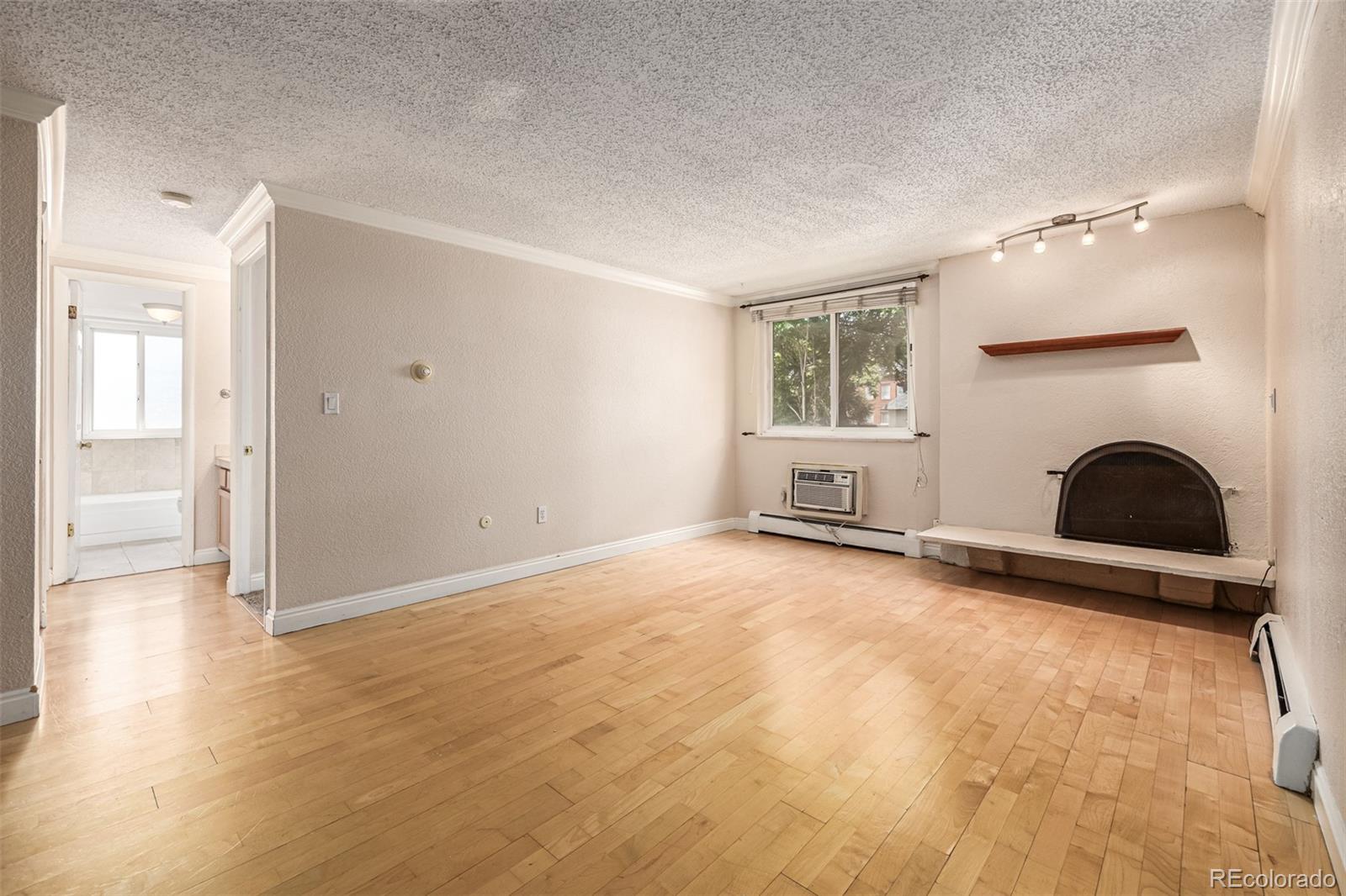 1125 North Washington Street, Unit 207 Denver, CO 80203 - Photo 10 of 33 an empty room with windows and fireplace