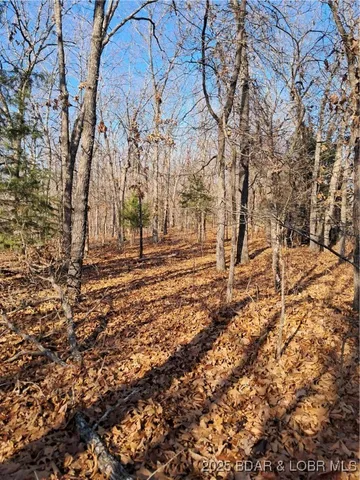 $79,500 | 4-5 South Buck Creek Road, Gravois Mills, MO 65037