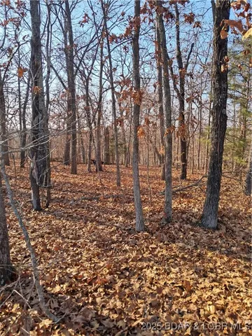 $79,500 | 4-5 South Buck Creek Road, Gravois Mills, MO 65037