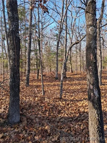 $79,500 | 4-5 South Buck Creek Road, Gravois Mills, MO 65037