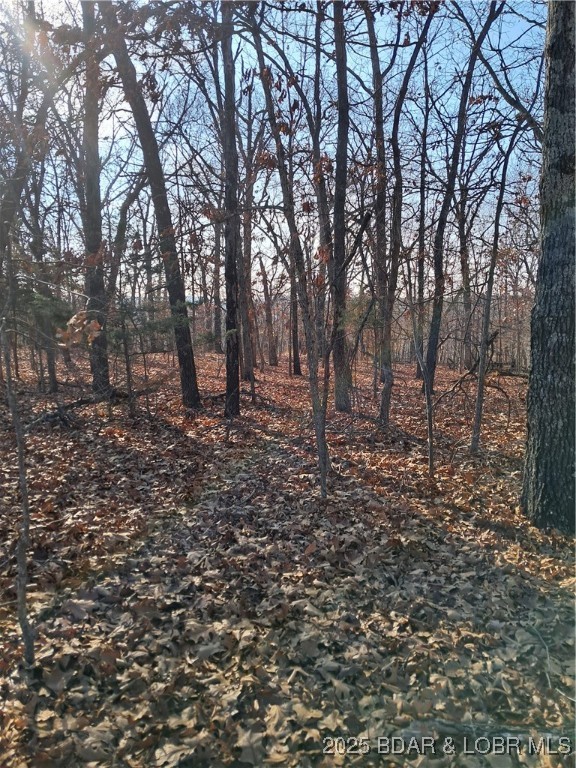 4-5 South Buck Creek Road Gravois Mills, MO 65037 - Photo 5 of 5