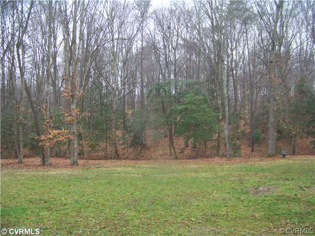 Lot 2 Mitchells Mill Road Aylett, VA 23009 - Photo 1 of 1 Gallery Image 1