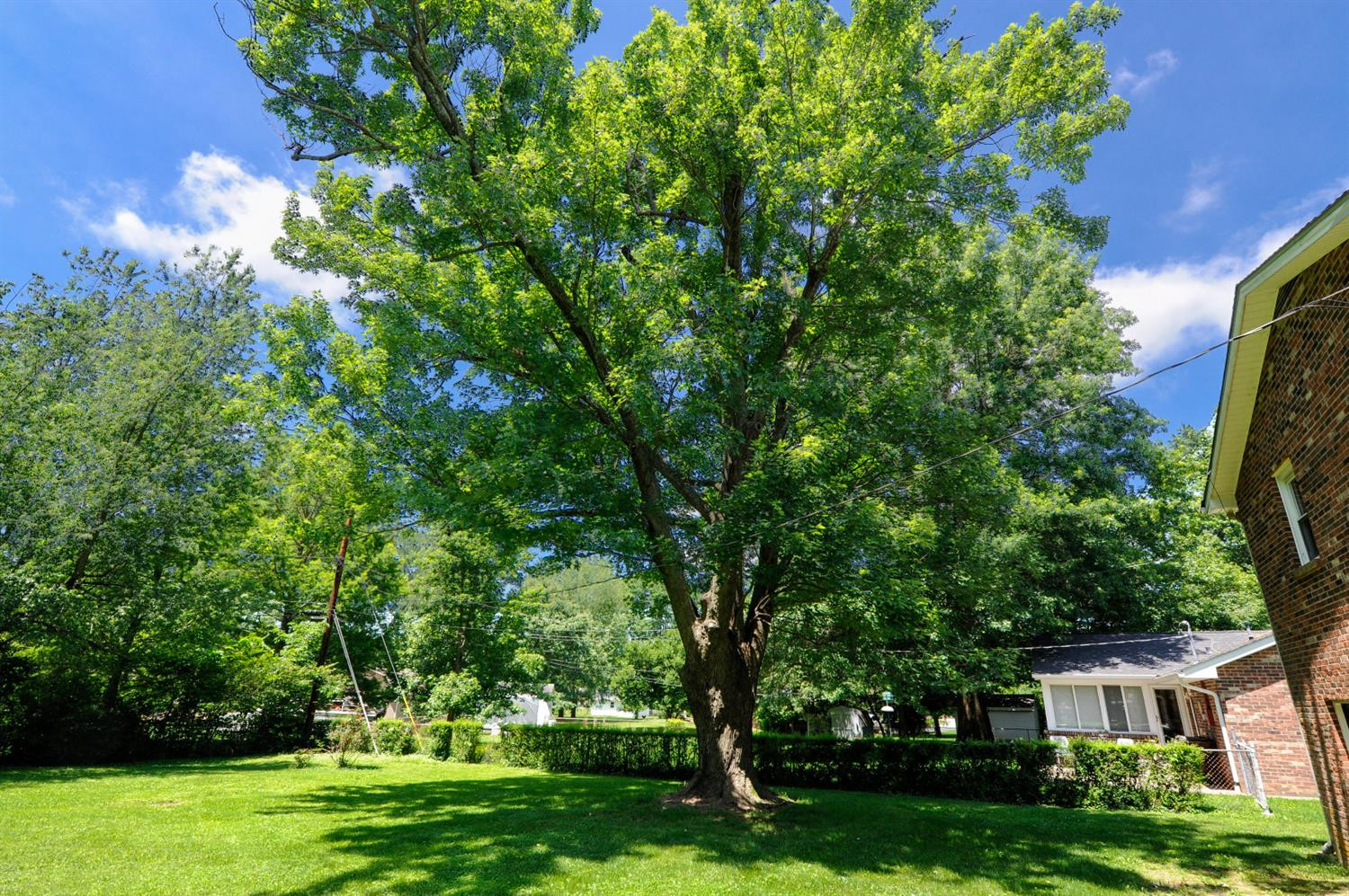 124 Bayberry Road Versailles, KY 40383 - Photo 22 of 24 Listing Photo