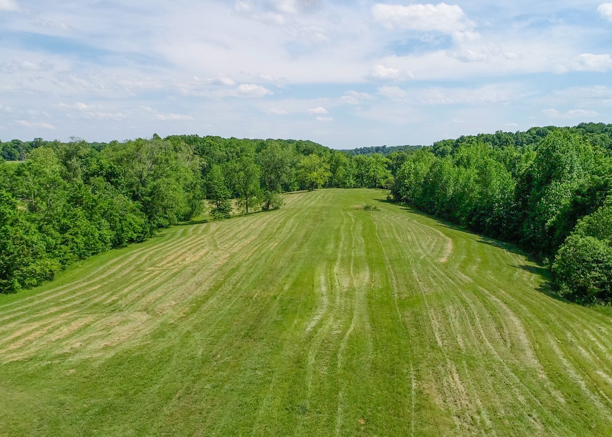 1125 Rose Hill Road Pulaski, TN 38478 - Photo 15 of 40 a view of swimming pool from a yard